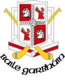 Ballygarvan GAA Club Logo