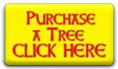 Buy a Tree
