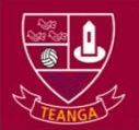 1993-Tang-GAA-Club-Logo-Clubforce-Events-L