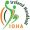 Irish Olympic Handball Association Events